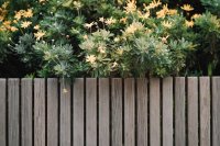 Je gemeente betaalt tot €30/m² voor een groenere tuin