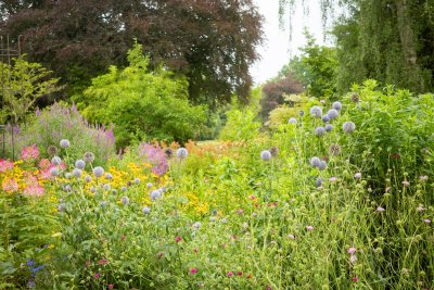 Ronde borders en slingerende paden geven je tuin meer karakter